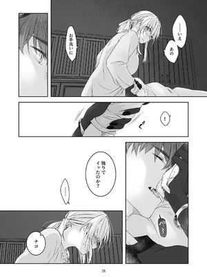 [青色観測所 (中原水芋)] 気まぐれ魔王さま、生真面目魔法少女を嫁にする。3_027_cqmq