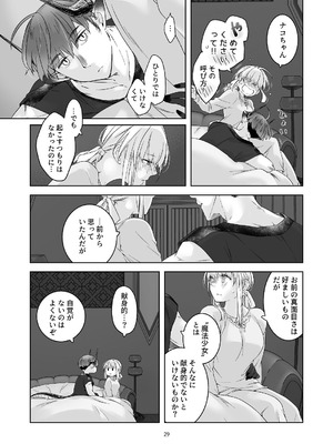 [青色観測所 (中原水芋)] 気まぐれ魔王さま、生真面目魔法少女を嫁にする。3_028_ndlk