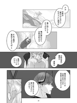 [青色観測所 (中原水芋)] 気まぐれ魔王さま、生真面目魔法少女を嫁にする。3_029_phaa