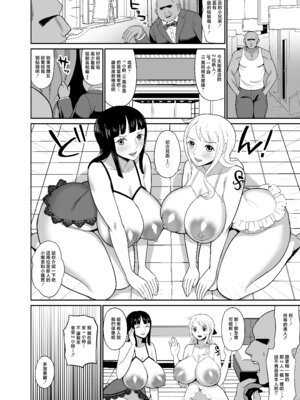 [REM9 (ハミルタン)] 一億ベリー稼ぐまで出られない風俗島 (ワンピース) [中国翻訳] [DL版]_06_idlc