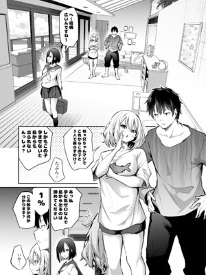 [あいらんどう] 妹孕ませないと出られない島2[DL版]_009_pmgd