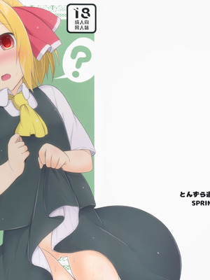 (例大祭13) [とんずら道中 (かざわ)] おにいさん、何するの？ (東方Project) [明稿昨拖汉化组]