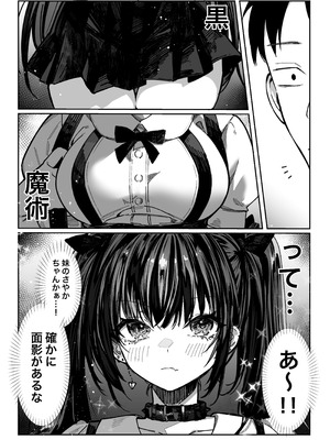 [パイレーツキャット] ハメゴト〜姉妹のひみつ〜_11_gcne