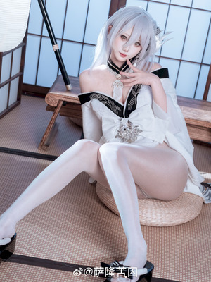 萨隆苦囚 - 碧蓝航线 白凤_08_sicm