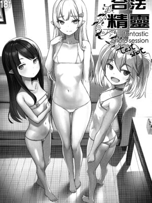 (C102) [AskRay (ぼっしぃ)] 合法エルフ [中国翻訳]