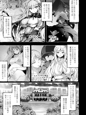 [にのこや (にの子)] 淫紋魔術師のエルフハーレム [DL版]_03_rxpb