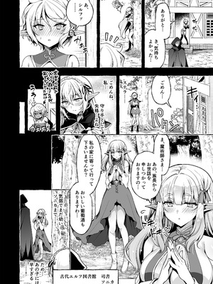 [にのこや (にの子)] 淫紋魔術師のエルフハーレム [DL版]_16_jgne