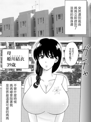 [謙虚素直メテオ] ママのヒダヒダおむつは僕のもの [中国翻訳]_03_3