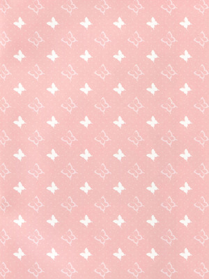 (例大祭13) [CARAMEL CRUNCH! (りかたん☆)] こづくり幻想郷 (東方Project) [明稿昨拖漢化組]_02_bmim