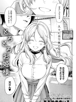 [あおやまきいろ。] とろとろお姫様 (COMIC 真激 2025年12月号) [DL版]