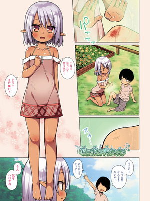 [雪野みなと] イロトリドリのことりたち フルカラー版 [DL版]_104_xycw