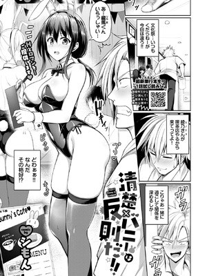 [シもん] 清楚×バニーは反則だ！！