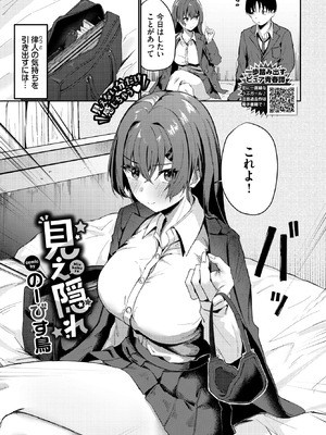 [のーびす鳥] 見え隠れ