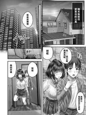 [&norino (norino)] その年の離れた黒髪姉妹とお〇こする話〜感動の完結総集編〜 [XY个人翻译] [DL版]_034_nkpw