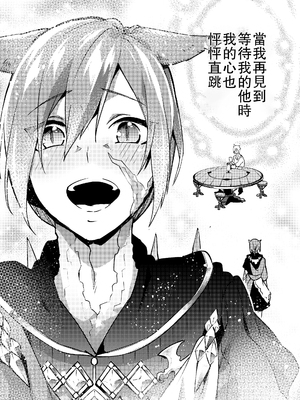 (TWINKLE MIRAGE 13) [dicca (すえみつぢっか)] 恋の詩、愛の唄。(ファイナルファンタジーXIV) [男女男搭配干活不累五人汉化]_33_33