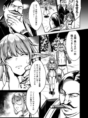 [H.B.A (うさぎなごむ)] 黄昏の娼エルフ 総集編-エイレーネ前編_009