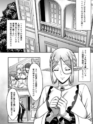 [H.B.A (うさぎなごむ)] 黄昏の娼エルフ 総集編-エイレーネ前編_014