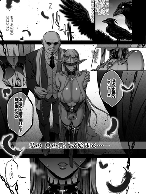 [H.B.A (うさぎなごむ)] 黄昏の娼エルフ 総集編-エイレーネ前編_126