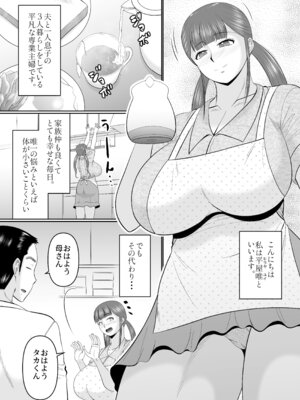 [コンプリートボックス (畠山桃哉)] 大きな息子と小さな母さん_03_edgp