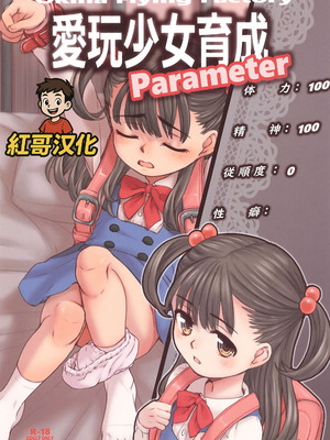 [Okina Flying Factory (OKINA)] Aigan Syoujo Ikusei Parameta ｜ 爱玩少女养成属性 [红哥汉化]