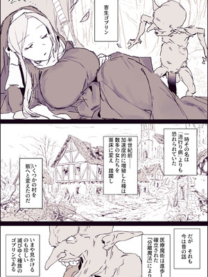 [ぽりうれたん] 寄生ゴブリン [中国翻訳] [DL版]_19_qgvd