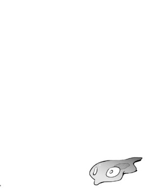 [白ネギ屋 (miya9)] メガえっちロワイヤル (ポケモンレジェンズゼットエー)｜超级色情锦标赛 [欶澜汉化组] [DL版]_04_xugu