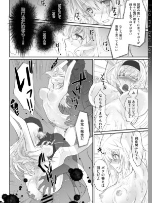 [Bloody Okojo (モジャコ、きゃびあ)] I Do My Best For You (IS＜インフィニット・ストラトス＞) [DL版]_14_axla