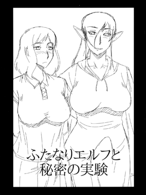 (COMIC1☆11) [コンプリートボックス (畠山桃哉)] ふたなりエルフと秘密の実験_p_003