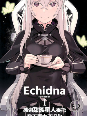 (C99) [御花畑 (芝石ひらめ)] Echidna sukebebon I (Re：ゼロから始める異世界生活) [甜族星人x我不看本子汉化] [DL版]