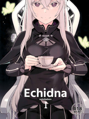 (C99) [御花畑 (芝石ひらめ)] Echidna sukebebon I (Re：ゼロから始める異世界生活) [甜族星人x我不看本子汉化] [DL版]_02_jkrx