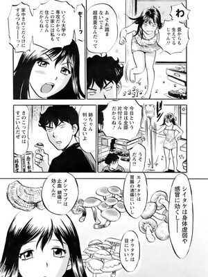 [THE SEIJI]きのこ_04