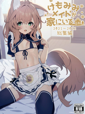 [ドットエイト (さわやか鮫肌)] けもみみメイドが家にいる総集編1冊目 [DL版]
