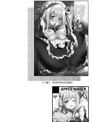 [Apple Water (りんご水)] Happy Cherry Blossom 2 りんご水艦これ総集編2 (艦隊これくしょん -艦これ-) [DL版]_0004