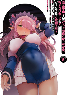 [陸奥こはる×ユズリハ] 家が燃えて人生どうでも良くなったから、残ったなけなしの金でダークエルフの奴隷を買った。 第05巻_003_iopr