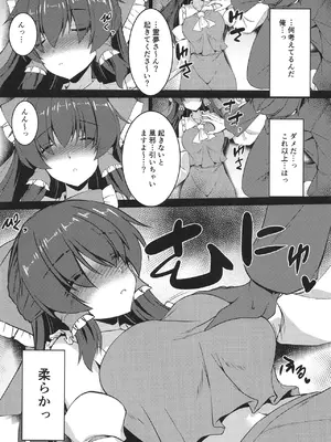 (C106) [有言実行 (ゴンざぶろー)] 霊夢が寝てしまったから (東方Project)_0007
