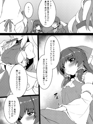 (例大祭23) [有言実行 (ゴンざぶろー)] ちっぱい霊夢は大きくしたい (東方Project)_0005
