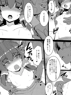 (例大祭23) [有言実行 (ゴンざぶろー)] ちっぱい霊夢は大きくしたい (東方Project)_0009