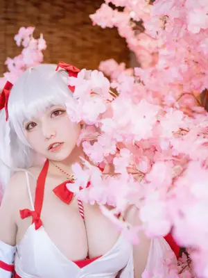 阿半今天很开心 - 碧蓝航线 可畏 巫女_0006