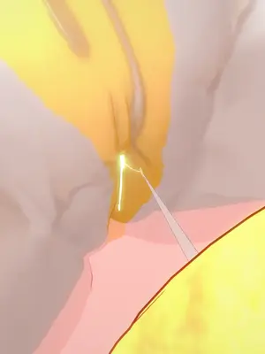 【Bro3@Projekt-星月】TRINITY 2/光之战姬·三位一体先 导瑕光强制扶她化榨精 改造篇 1_066