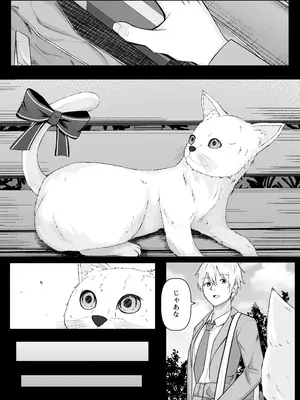 [Night White Lily (仁科かけり)] 俺は失恋し化け猫は現れる+制作記セット [DL版]_0005