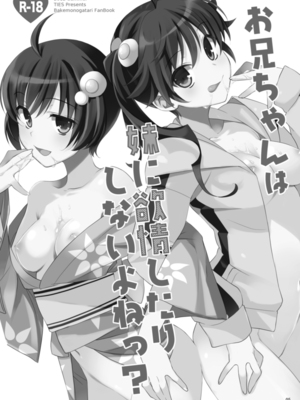 [TIES (タケイオーキ)] お兄ちゃんは妹に欲情したりしないよねっ？ (化物語) [DL版]_0003