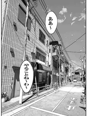 [ピエトロ] 壁から尻が出てたのでそれがギャルヤンママと知って死ぬほど嫌いだったのでそのままヤって復讐した。_0003