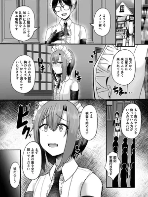 [りふれぼコミック (ヴァリオス)] 貧乳ユートピアの隠れ巨乳2 〜禁制爆乳バレから始まる王子専属Wメイド種付け教育〜_0008