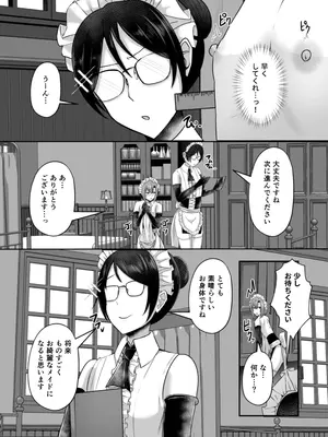 [りふれぼコミック (ヴァリオス)] 貧乳ユートピアの隠れ巨乳2 〜禁制爆乳バレから始まる王子専属Wメイド種付け教育〜_0009