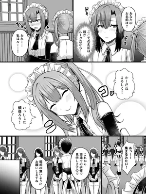 [りふれぼコミック (ヴァリオス)] 貧乳ユートピアの隠れ巨乳2 〜禁制爆乳バレから始まる王子専属Wメイド種付け教育〜_0011