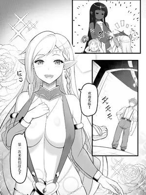 [踊り子のお部屋 (るーぺち)] 踊り子娼館に行ったら、美人エルフの踊り子がいっぱい搾り取ってくれたお話 [中国翻訳] [機翻]_0005