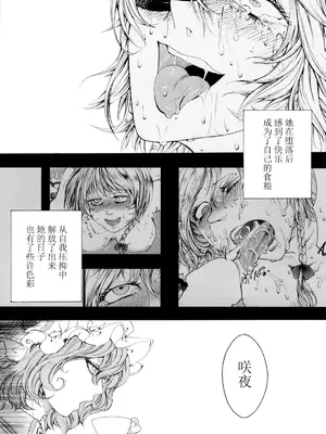 (C88) [大事なことは二回も言わない (はせべso鬱)] 咲夜欲棒逆転 (東方Project) [中国翻訳]_12
