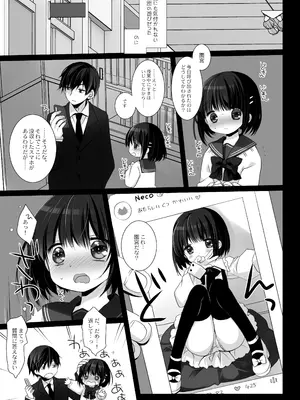 [CHRONOLOG (桜沢いづみ)] 愛玩調教＋AFTER [DL版]_0006