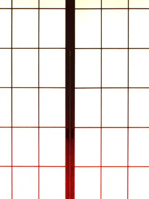 [JUNKセンター亀横ビル]今夜、母と妊活します。伍  [日] [wiking汉化版]_0011