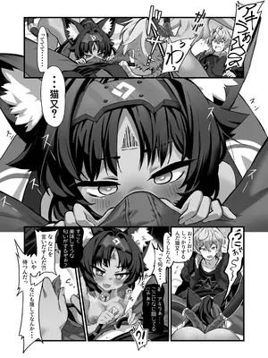 [二兎屋 (にと)] 猫はマタタビの夢をみる (ゼンレスゾーンゼロ) [DL版]_0006